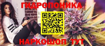 ECSTASY Кунгур