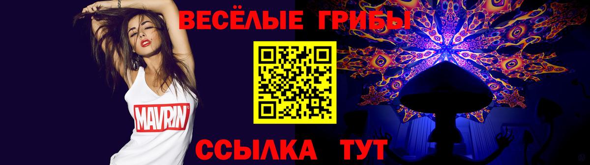 Галлюциногенные грибы Cubensis Дальнереченск